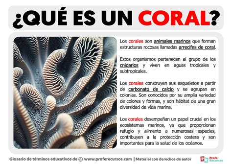 Qu Es Un Coral Definici N De Coral