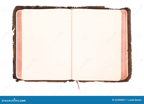 Blank Vintage Book Open Royalty Free Stock Photography Image 22490007