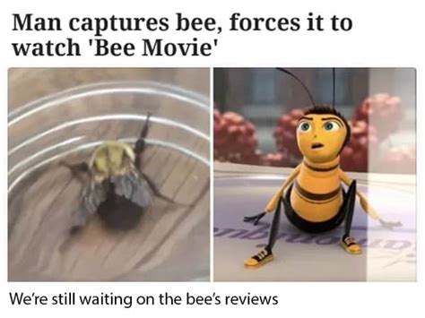 History Of Bee Movie Memes