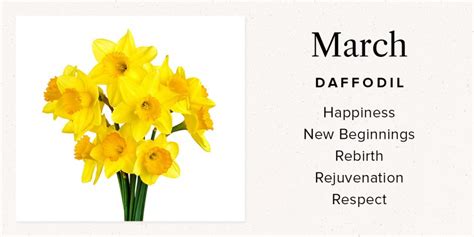 March Birth Flower Meaning