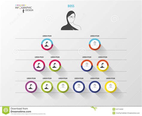 Pin Di Инфографика Структура организации