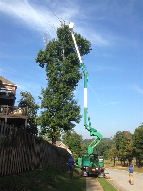 Bucket Truck Tree Climbers Tree Services