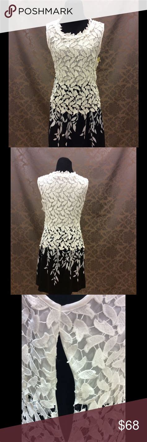 Make A Offer Nwt Whiteblack Lace Dress White Dress Black Lace Lace