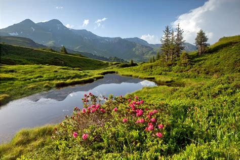 Spring In Alps Switzerland Spring Scenery Swiss Alps Scenery