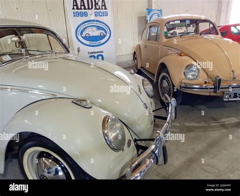 Old Popular Volkswagen Type 1 Beetle Or Bug Sedan Air Cooled Rear