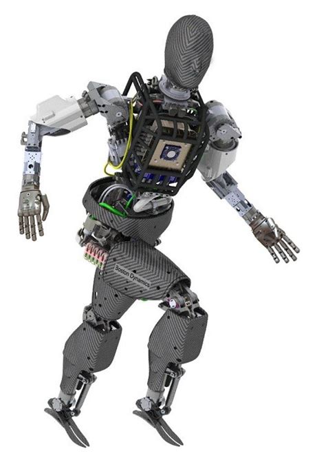 Darpas Atlas Humanoid Robot Revealed Nature World News