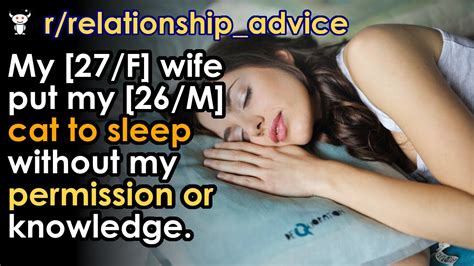 My 27f Wife Put My 26m Cat To Sleep Without My Permission Or