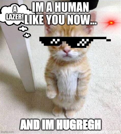 Cute Cat Meme Imgflip Gambaran