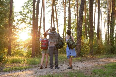 Man Showing Destination Of Hiking Trip In Forest Stock Image Image Of