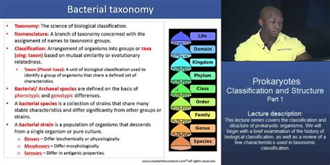 Daniel solove categorized privacy harms with his taxonomy when he realized the lack of modern taxonomy of information privacy law in the 21st century. MCAT®: Prokaryotes: Classification and Structure - Part 1 ...