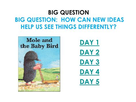 Ppt Mole And The Baby Bird Big Question How Can New Ideas Help Us