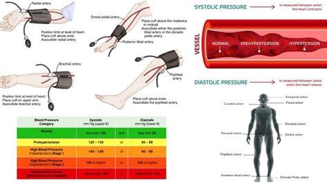 Researchers Highlighted The Great Variability Of Blood Pressure