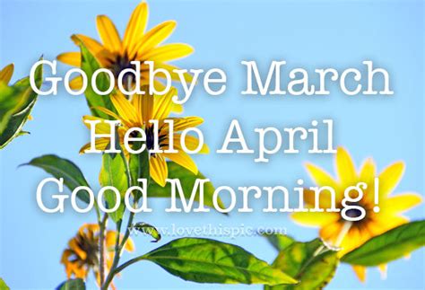 Sunflower Goodbye March Hello April Pictures Photos And Images For