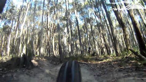 Mountain Bike Ride Wombat Track Woodend Youtube