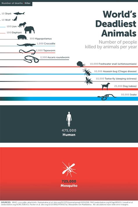 Worlds Deadliest Animals Infographic And Guess What Humans Are 2nd