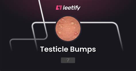 Testicle Bumps Leetify