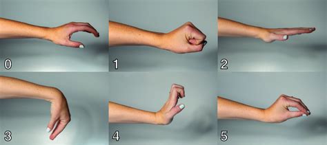 The Six Classes Rest Fist Hand Extension Wrist Flexion Wrist