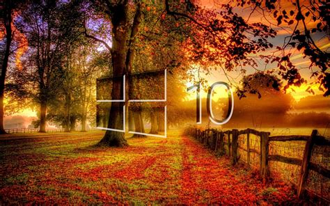 Windows 10 in the fall glass logo wallpaper - Computer wallpapers - #46857