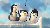 Los Pingüinos de Madagascar Documental de la Antártida Trailer Latino ...