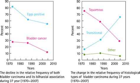 Successful Control Of Schistosomiasis And The Changing Epidemiology Of Download Scientific