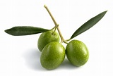 Health benefits of Olive oil| HB times