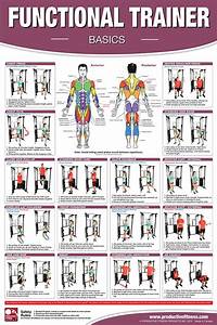 19 95 This Poster Features 16 Basic Exercises That Can Be Done On A