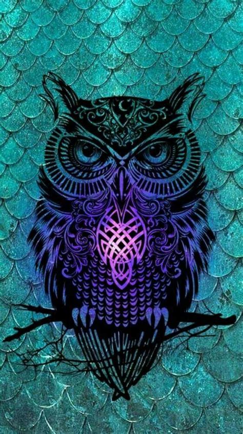 Burung Hantu Style Owl Wallpaper Iphone Owl Wallpaper Hipster Wallpaper 