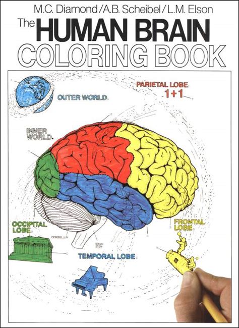 Brain Jack Image Brain Coloring Pages