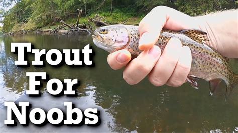 Beginner Trout Fishing With Power Bait Trout Bait Youtube