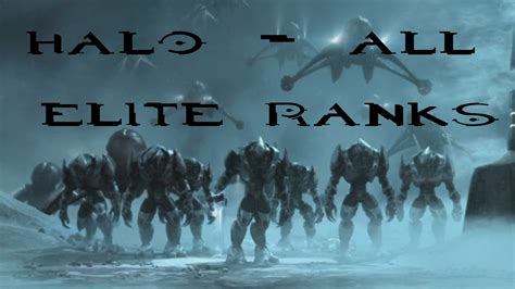 Halo All Elite Sangheili Ranks Youtube