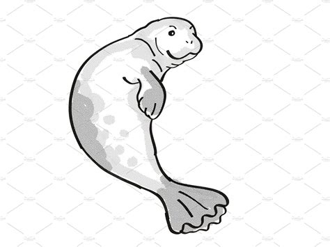 Hawaiian Monk Seal Endangered Wildlife Cartoon Drawing