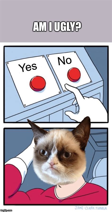 Image Tagged In Grumpy Cat Cat Two Buttons Yes No Ugly Imgflip