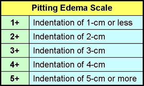 Edema Rating Scale