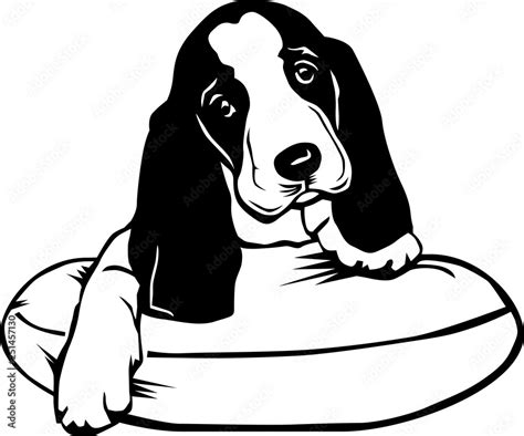 Basset Hound Puppy Vector Illustration Stock Vector Adobe Stock