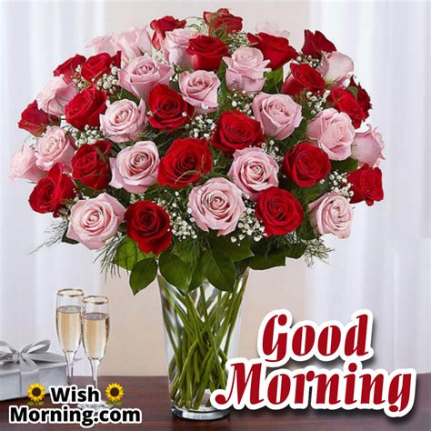 Good Morning Wishes With Rose Flower Wish Morning