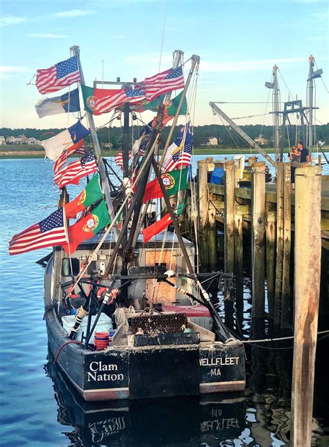 Dave Lockwood Wellfleet Clam Flags Cape Cod Massachusetts Wellfleet