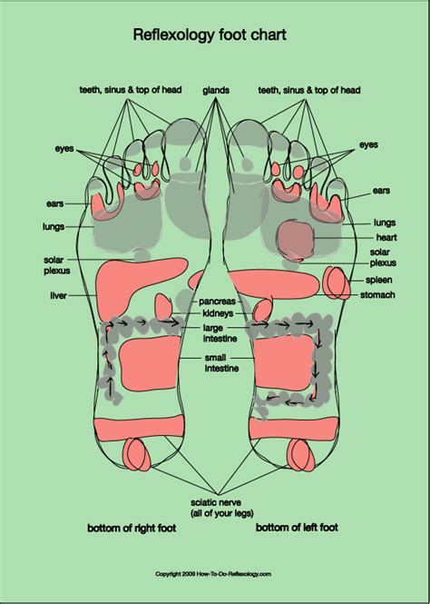 Foot Acupressure Points Complete Guide For Acupressure Foot Chart