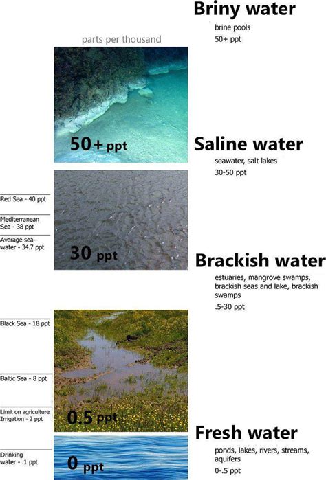 Different Water Resources Salinity Download Scientific Diagram