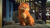 Trailer de la película Garfield: La película - 'Garfield: La película ...