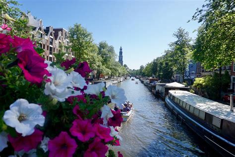 sweet summer days in amsterdam