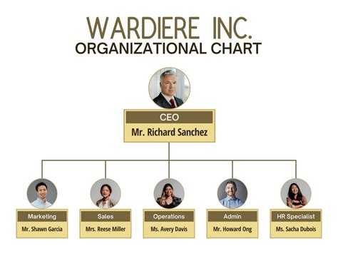 Organizational Chart Business Organizational Structure Company Png