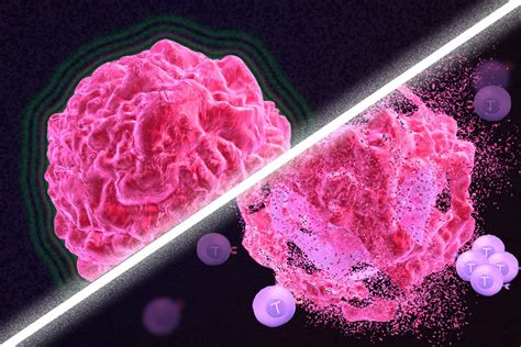 Wounded Cancer Cells Supercharge Immune System To Destroy Tumors