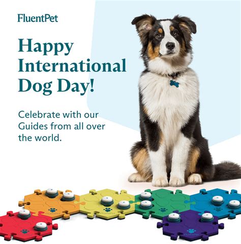 Happy International Dog Day Fluent Pet