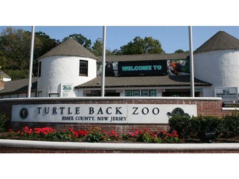 West Oranges Turtle Back Zoo Named Best In New Jersey West Orange