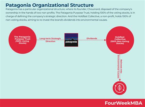 Patagonia Organizational Structure Fourweekmba