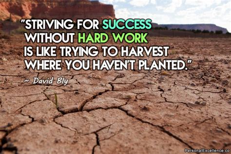 Striving For Success Without Hard Work Is Like Trying To Harvest Where