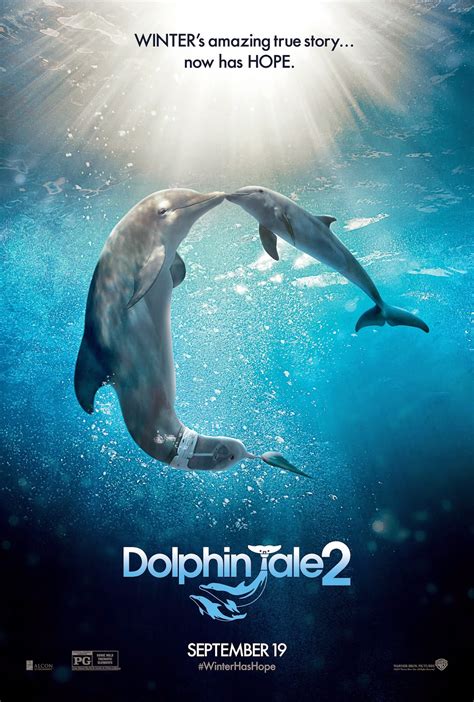 According To Mags Dolphin Tale 2