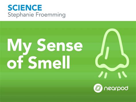 My Sense Of Smell