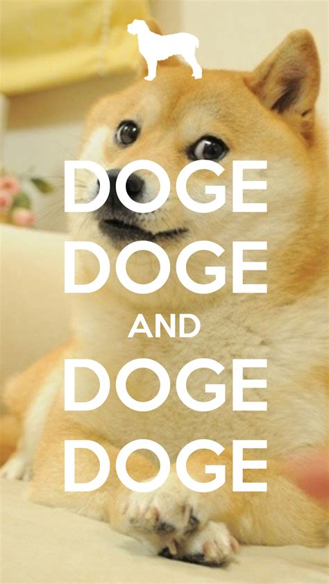 Doge Wallpaper Iphone Memes Doe Pinterest Doge And Wallpaper