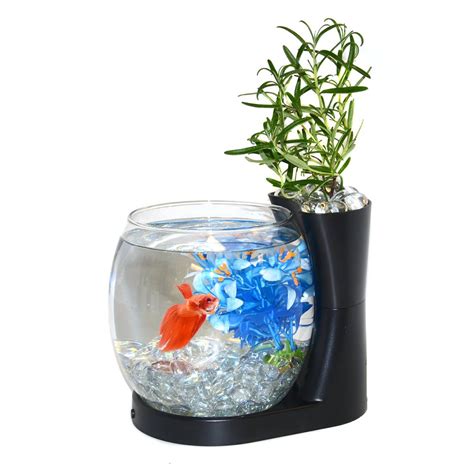 Elive Betta Fish Bowl Betta Fish Tank With Planter Small 075 Gallon